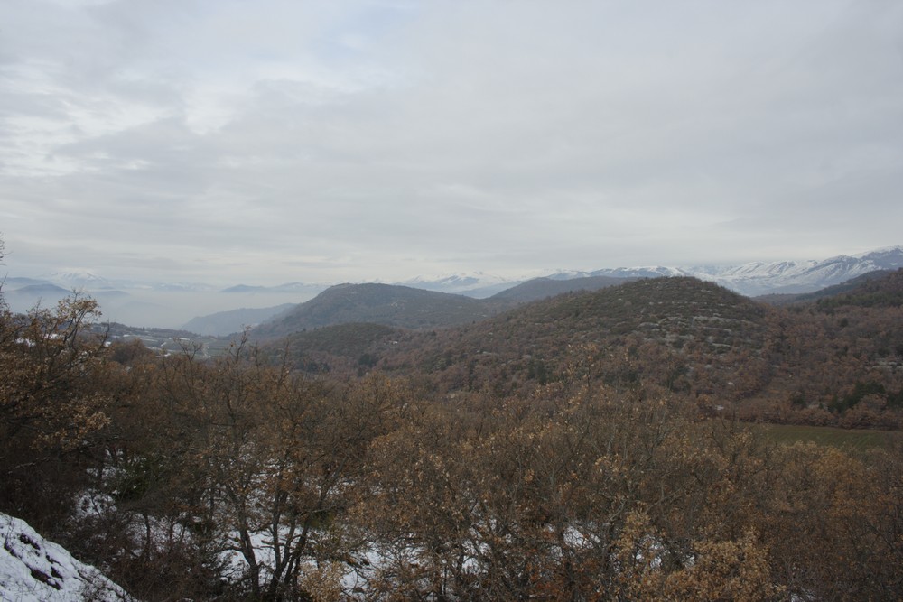 alla ricerca dei cani inselvatichiti. l''aquila